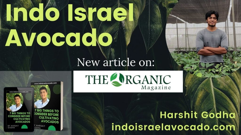 harshit godha avocado