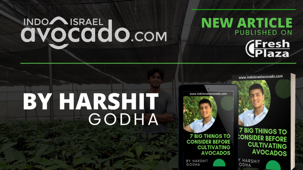 Indo Israel avocado Freshplaza