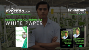 avocado industry white paper harshit godha