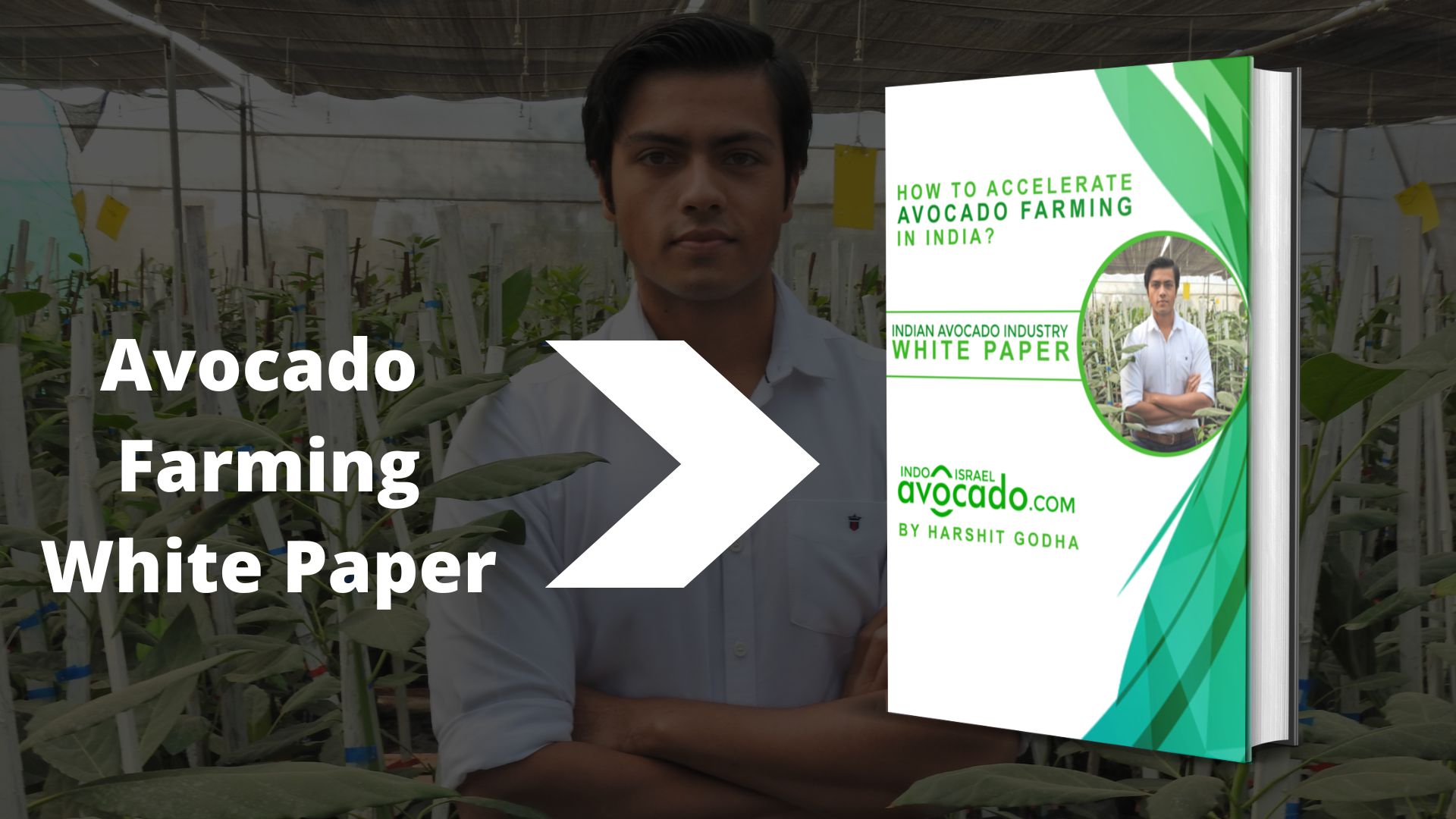 harshit godha indo israel avocado white paper