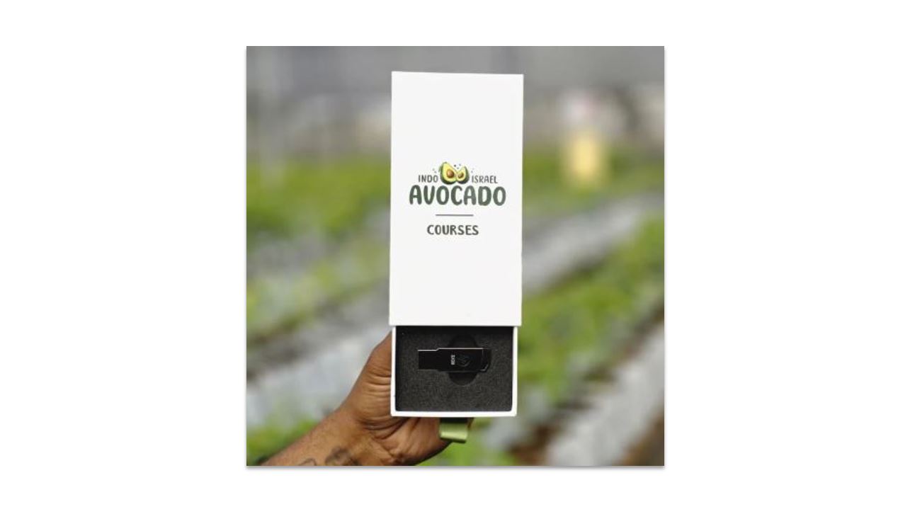How to import avocado plants from israel to india?
